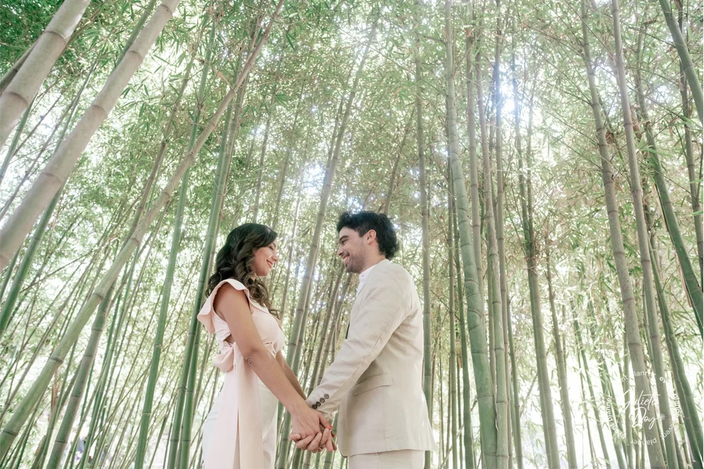 Bodas de destino - pareja en bosque de bambú